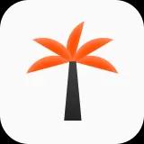 Palm Tree Icon